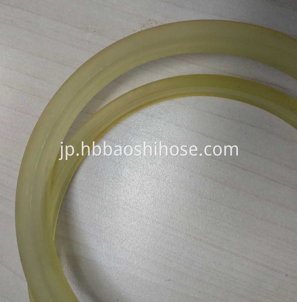 Normal Sealing Ring